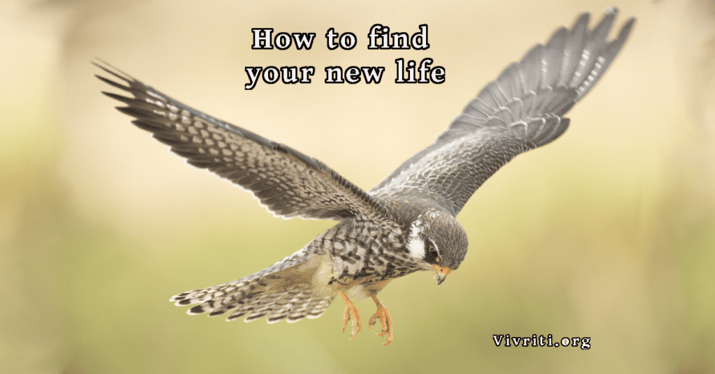 find new life
